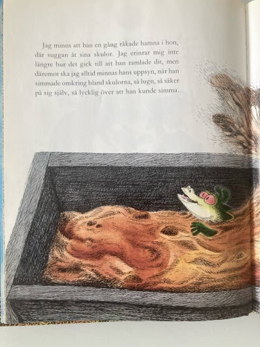 DRAKEN MED DE RÖDA ÖGONEN av Astrid Lindgren, 1985