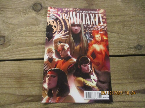 New Mutants No. 25 - 2011