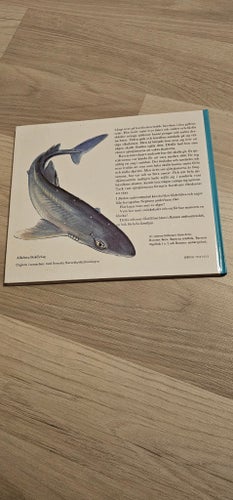 Barnens undervattensbok - Bisse Falk & Lena Kallenberg