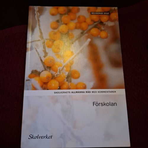 Förskolan - Skolverkets allmänna råd med kommentarer, 2016