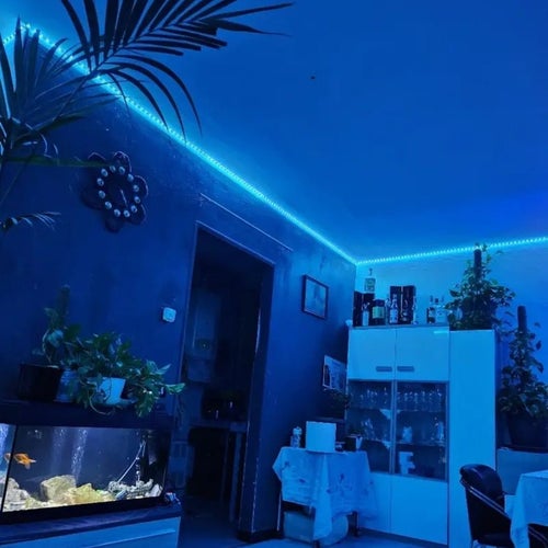 LED-ljusslinga med fjärrkontroll 20meter
