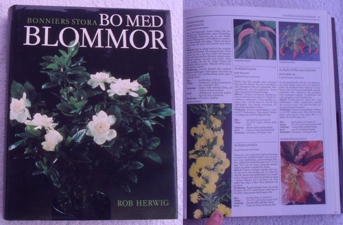 Bo med blommor