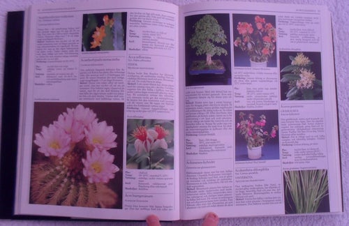 Bo med blommor