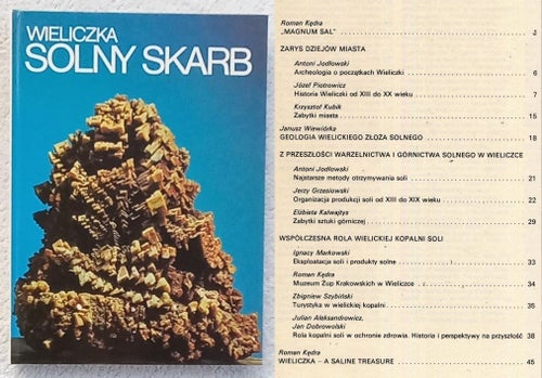 Wieliczka – solny skarb (in Polish, richly illustrated)