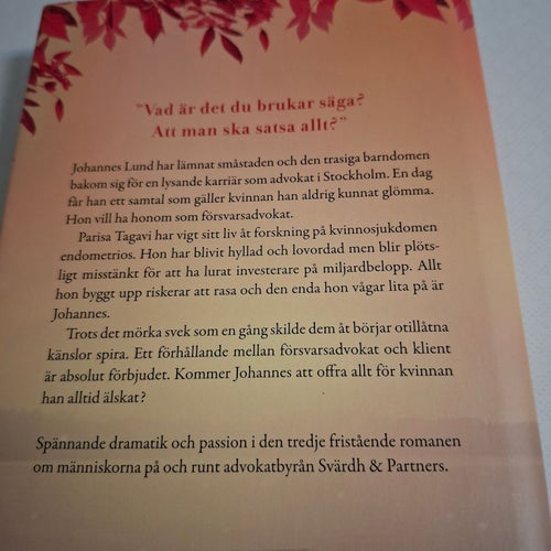 Satsa allt av Holmström, Heléne