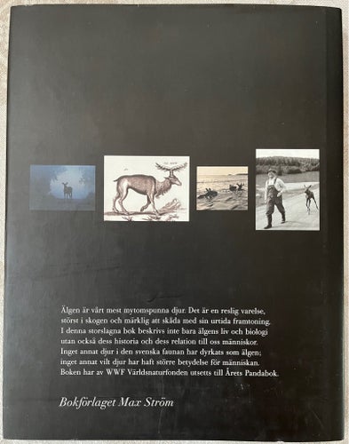 Älgen av Tommy Hammarström