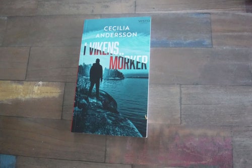 I vikens mörker författare Cecilia Andersson