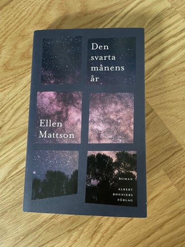 Den svarta månens år av Ellen Mattson