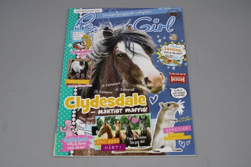 Penny Girl Hästtidning (3)