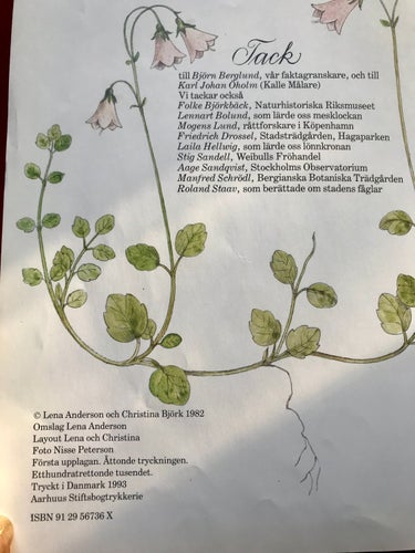 LINNEAS ÅRSBOK Lena Anderson Christina 1993