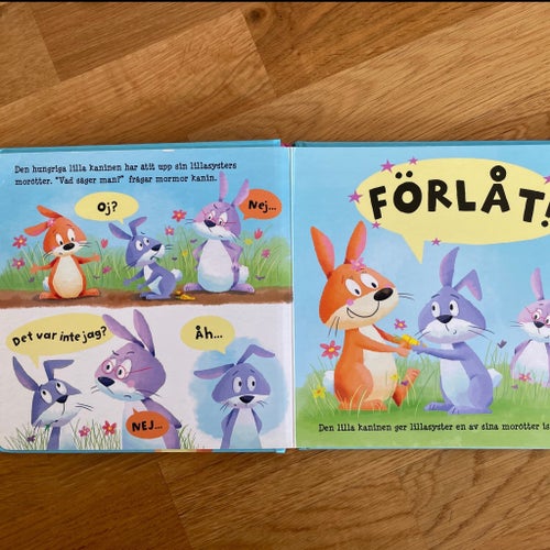 En bok om att säga Förlåt! av Caroline Johansson