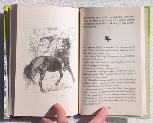 Den förbjudna ravinen (ungdomsbok, hästar)