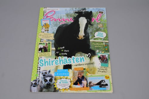 Penny Girl Hästtidning (7)