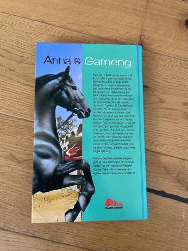 Anna & Gameng av Carina Rabe, 1999, Pollux