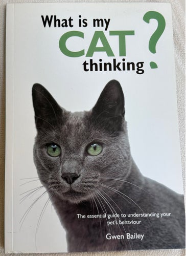 What is my CAT thinking? av Gwen Bailey