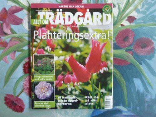 TRÄDGÅRD, NR 11, 2003,