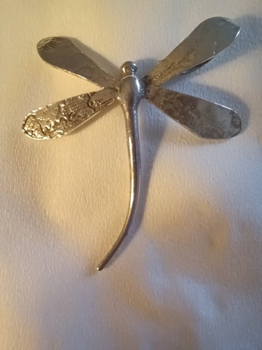 Silver trollslända
