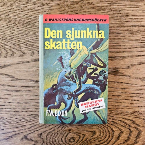 Den sjunkna skatten - F.W. Dixon