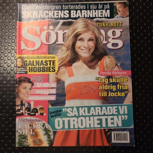 SÖndag nr 15-16, 2008 Wahlgren