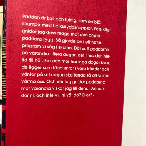 OBEHAGET OM KVÄLLARNA Marieke Lucas Rijneveld 2021