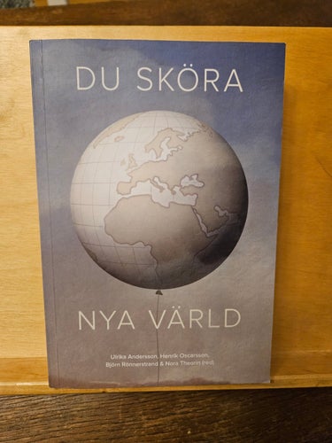 Du sköra nya värld, SOM-institutet