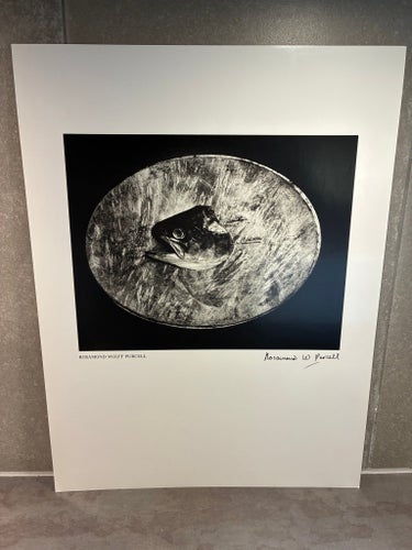 Foto tryck av Rosamond Wolff Purcell från 1976 i fint skick! Lim 1000-upplaga!