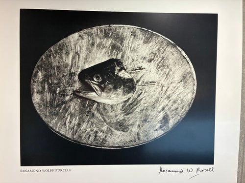 Foto tryck av Rosamond Wolff Purcell från 1976 i fint skick! Lim 1000-upplaga!