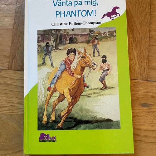 Vänta på mig, Phantom! av Christine Pullein-Thompson, Pollux, häst