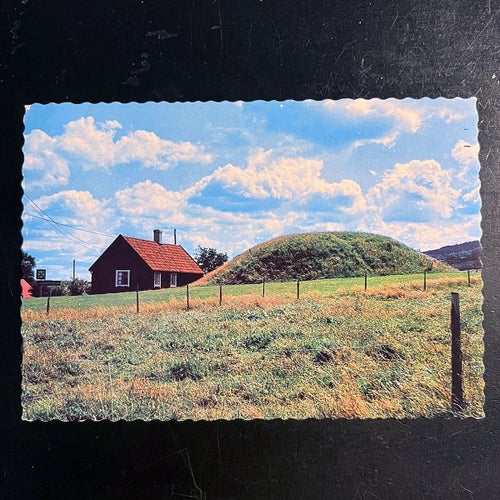 Bronsåldershögen vid Lugnaro, Halland, 1980