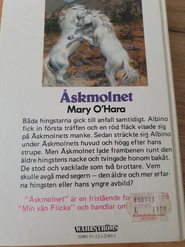 Åskmolnet av Mary O'Hara
