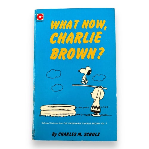 What Now, Charlie Brown? - Charles M.Schulz