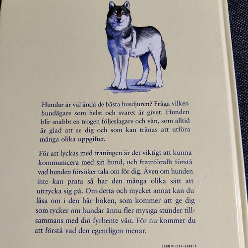 Så tänker hunden