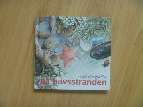 På jakt efter små djur på havsstranden - Håkan Elmquist