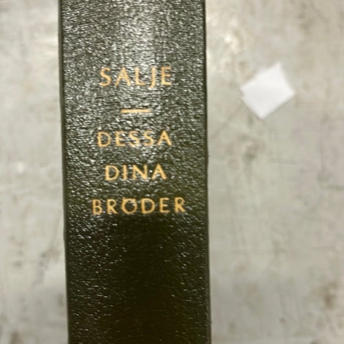 Dessa dina bröder av Sven Edvin Salje