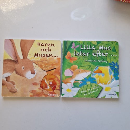 Haren och Musen letar efter ett hem, Rosalinda Kightley