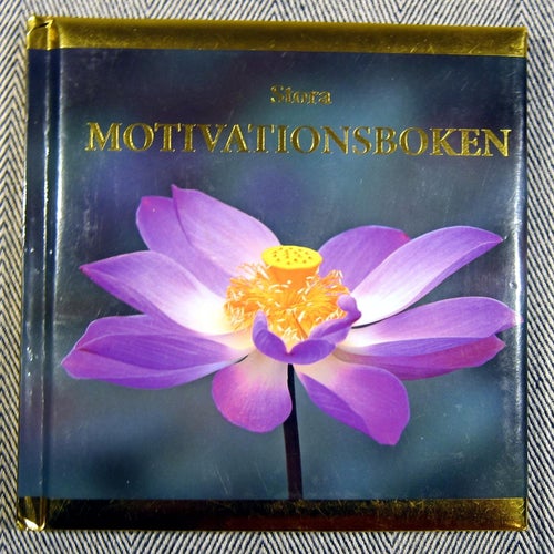 Stora Motivationsboken av DANIEL SWORD