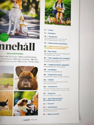 Hundsport 2019/7 (Valpkull Hunduppfödning Hundtrick Hundgodis Skilsmässa)