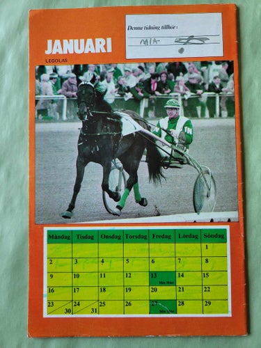 Min häst nr 1 från 1984