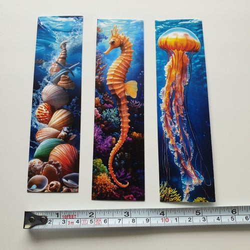 3st snäckor, magnet, sjöhäst bokmärken