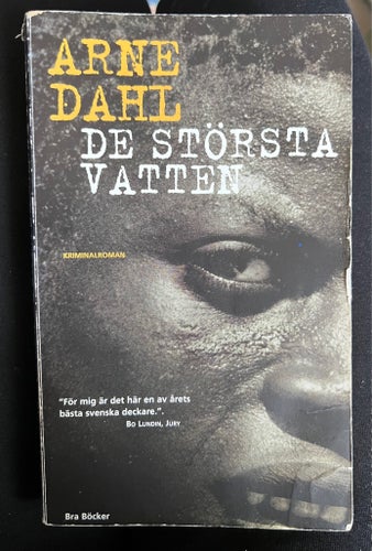 DE STÖRSTA VATTEN av Arne Dahl, 2002