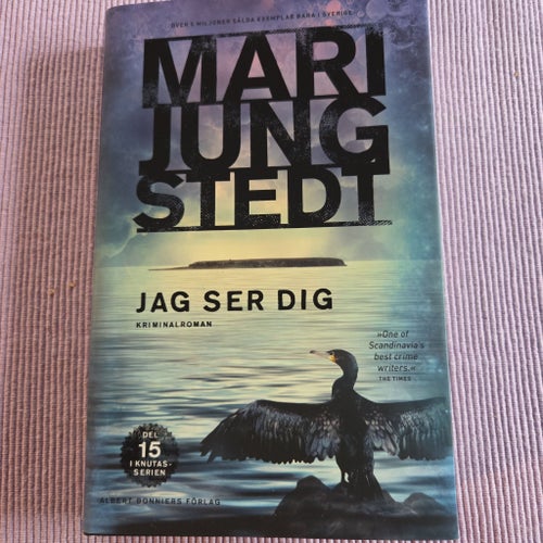 Jag ser dig av Mari Jungstedt, 2018