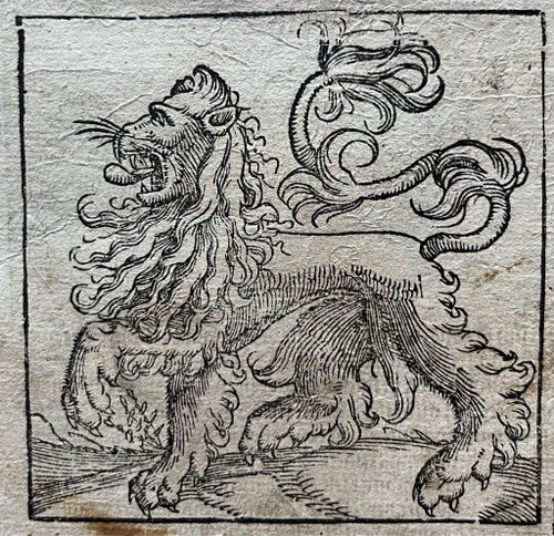 (1588) Münsters Cosmographia med spektakulärt lejon – boken om Afrika