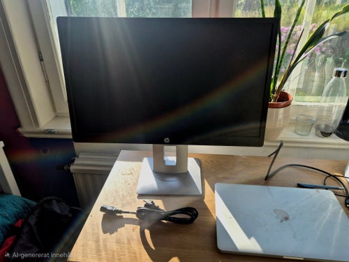 HP E240 Monitor