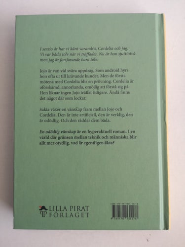 Bok En odödlig vänskap Cecilia Lidbeck