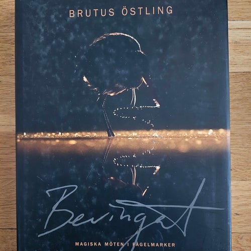 BOK. BEVINGAT - MAGISKA MÖTEN I FÅGELMARKER.
