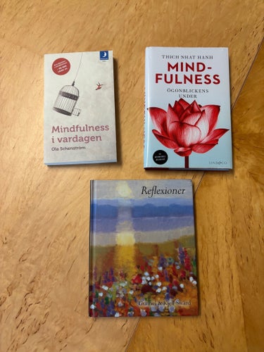 Mindfulness i vardagen av Ola Schenström