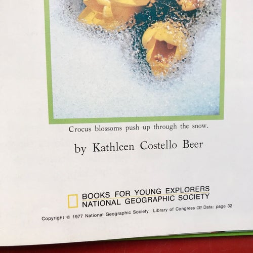 WHAT HAPPENS IN THE SPRING Kathleen Costello Beer 1977
