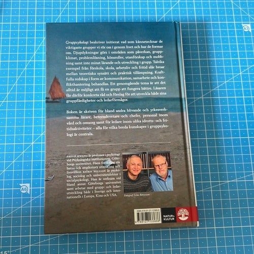 Gruppsykologi av Philip Hwang & Björn Nilsson