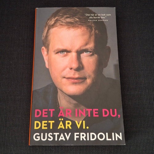 Det är inte du, det är vi - Gustav Fridolin