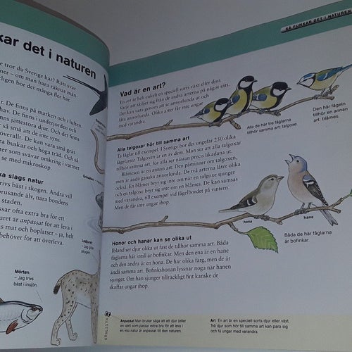 Upptäck biologi Sverige årskurs 4-6